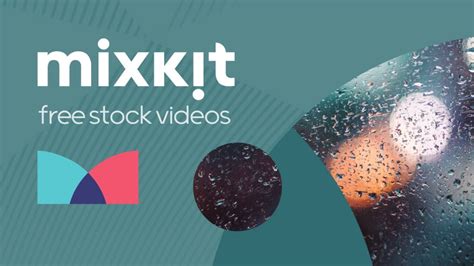 mixkit video|mixkit free footage video.